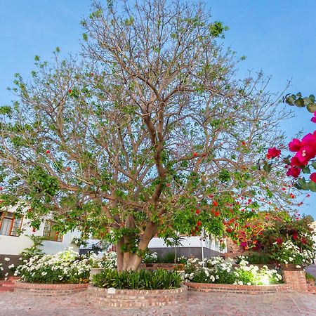 Hotel Ravenscliff Manor Oudtshoorn Esterno foto