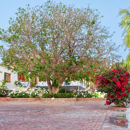 Hotel Ravenscliff Manor Oudtshoorn Esterno foto