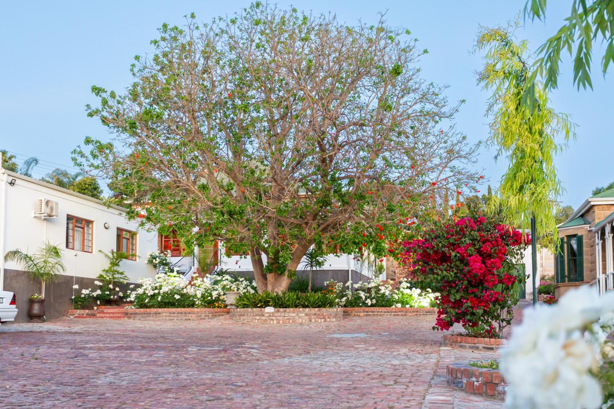 Hotel Ravenscliff Manor Oudtshoorn Esterno foto